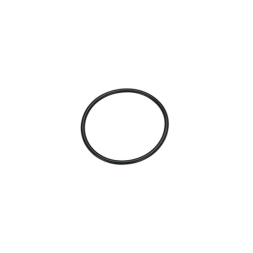 Non Autoclavable O Ring DCI 2310