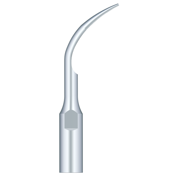 Supragingival Scaling GD1