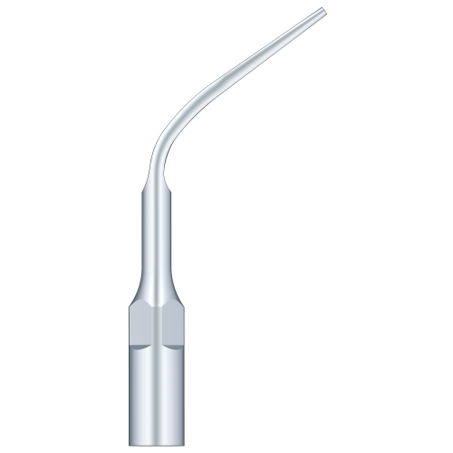 Supragingival Scaling G3