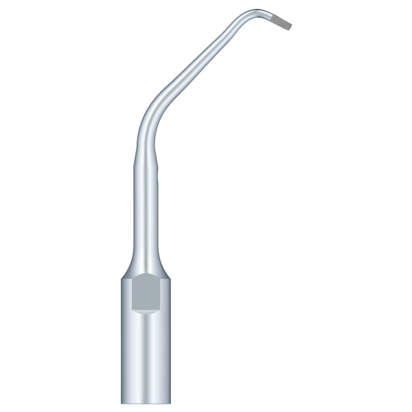 Used For Root Canal Retrogression Efficient Root Apical Polishing ED11D